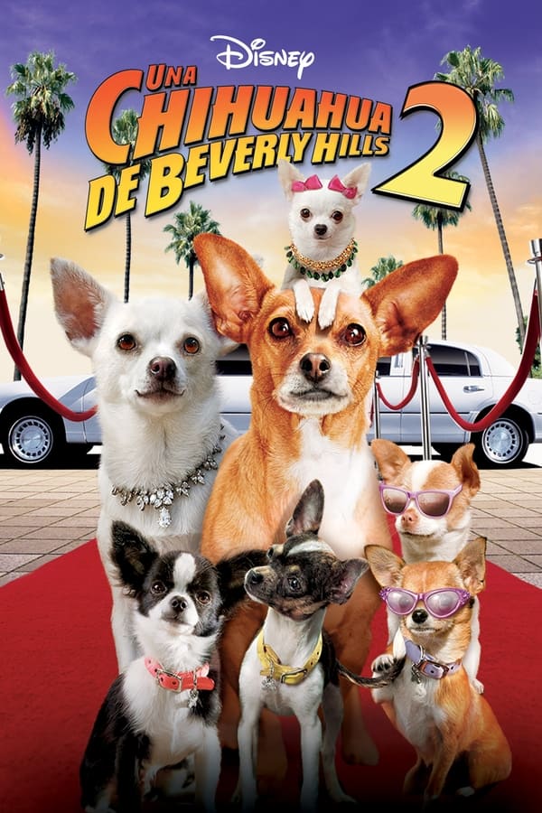 Una chihuahua de Beverly Hills 2 (2011)