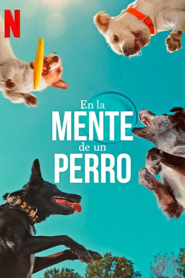 En la mente de un perro (2024)