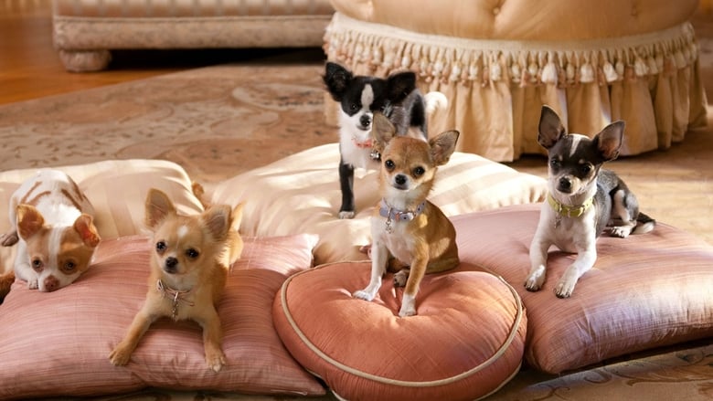 Una chihuahua de Beverly Hills 2 (2011)