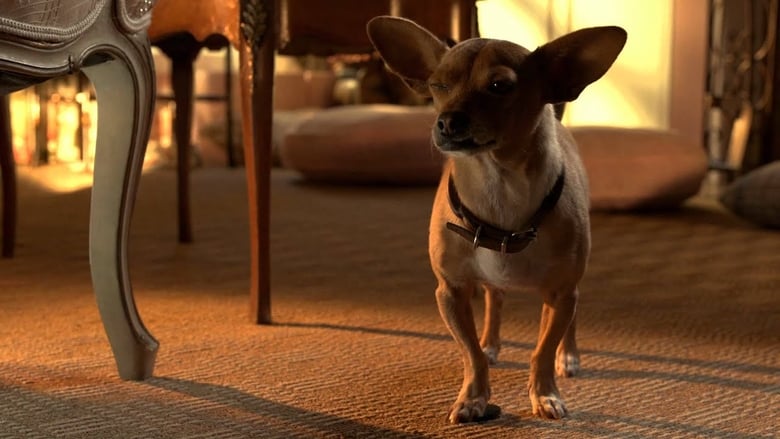 Una Chihuahua de Beverly Hills 3: ¡Viva la Fiesta! (2012)