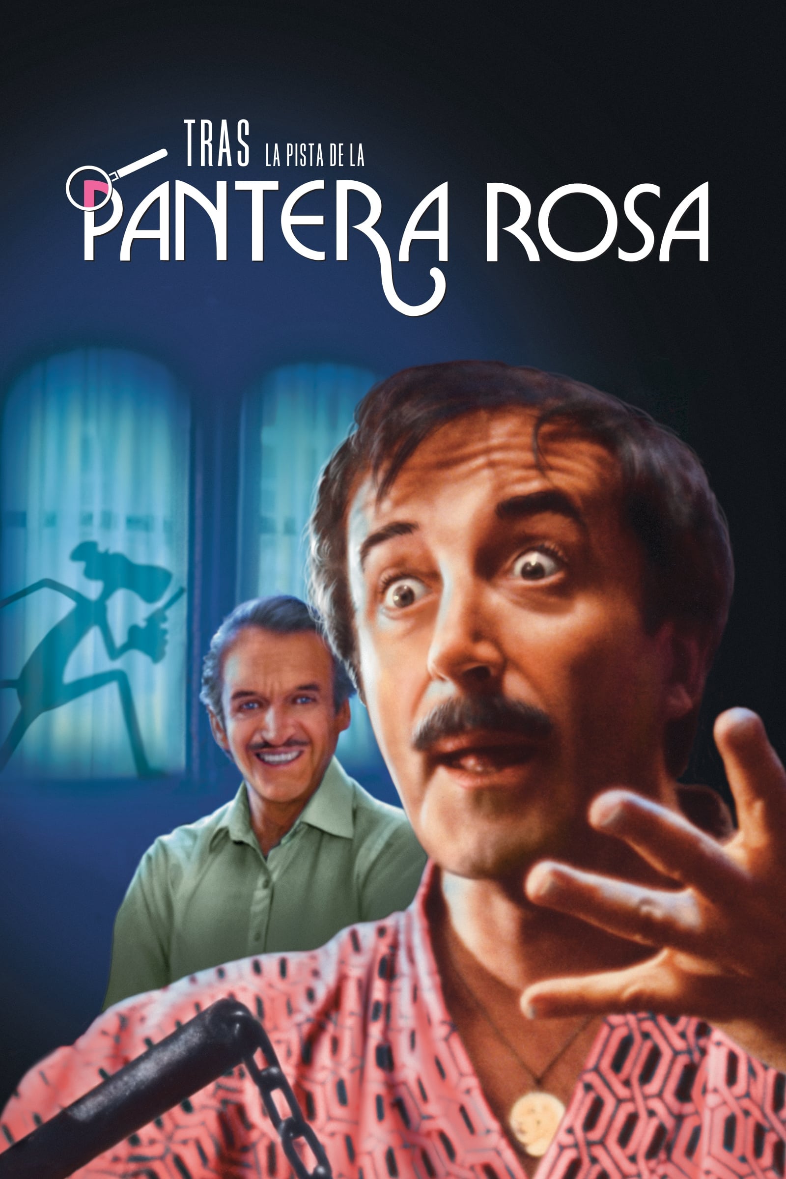 Tras la pista de la pantera rosa (1982)